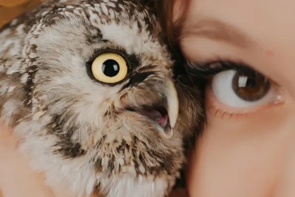 PlayHub Kasino Podpora